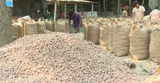 হিমাগার গেটে আলুর কেজি ২২ টাকা নির্ধারণ